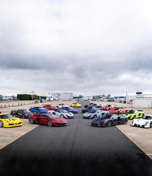 autoporn-net: WHAT A VIEW OF CARS!!