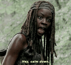 girl-ninja:slayere:#how to piss off michonne: question her judgement #how to really piss off michonn