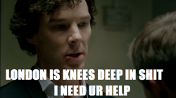 sakibatch:  perlockholmes:  I swear this