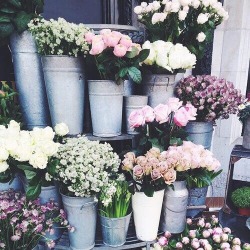 hipster: flowers