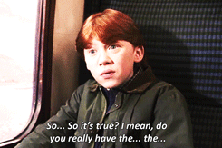 The Absolute Funniest Posts On Tumblr