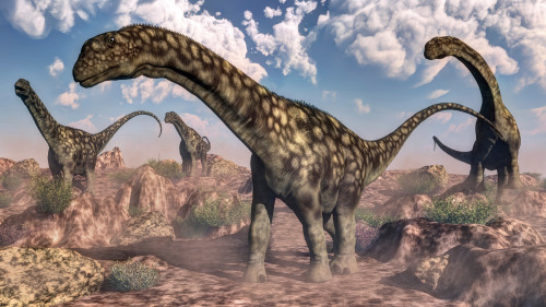 skunkbear:In 2014, scientists unearthed the skull of a new species of sauropod. The scientists named