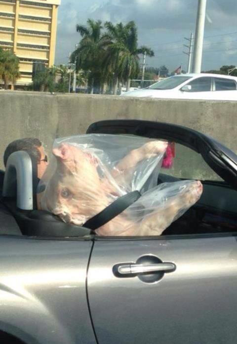 teh4n631:  mientras tanto en Puerto Rico…   seguridad primero que todo así que