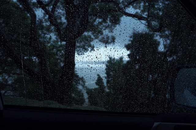 melisica:  (by tomhide) 