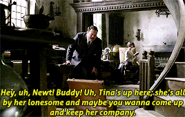madalainepetsch:Newt I love Tina Scamander in Fantastic Beasts: Crimes of Grindelwald (2018) dir. Da