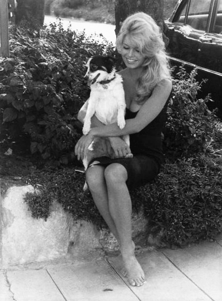 Brigitte Bardot with her dog Guapa,  