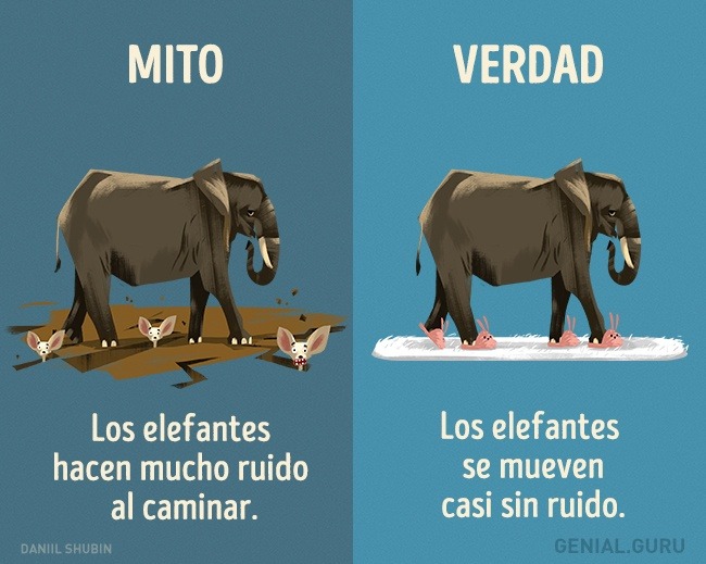 SUPER CACHONDEO