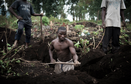 Colin Delfosse: North Kivu : the Chaos CycleOn the 20th of November 2012, the armed group called M23