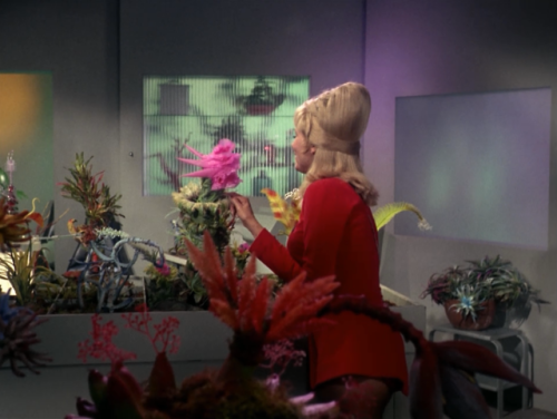 010011010100101001001101: Star Trek: Plants