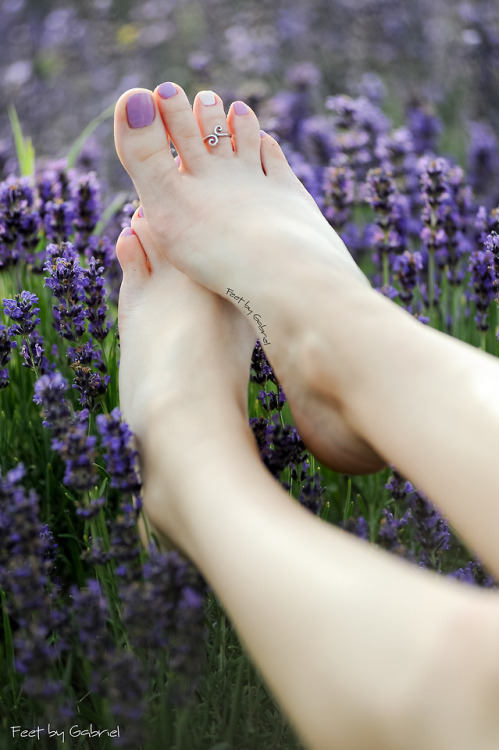 Lavander foot