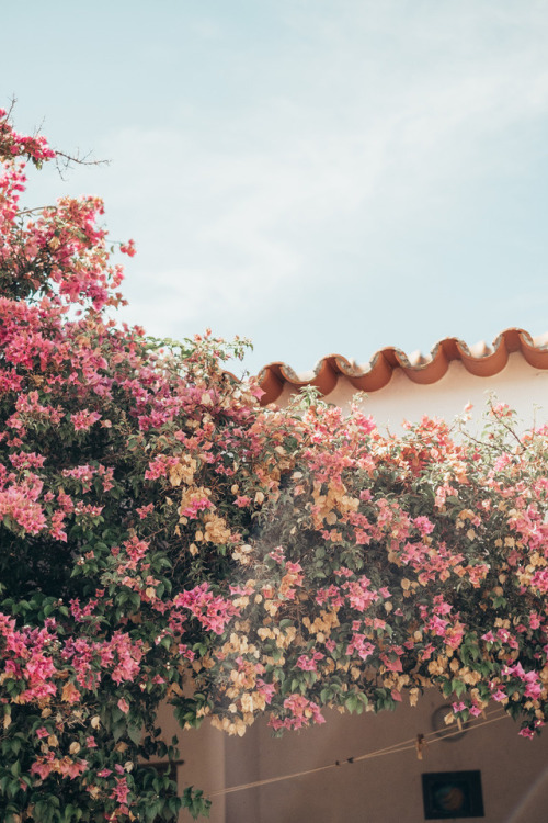 Alentejo, Portugal by Carrie on Flickr