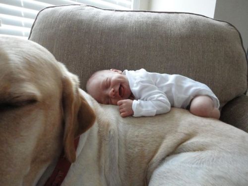 awwww-cute:  My nephew and his big brother