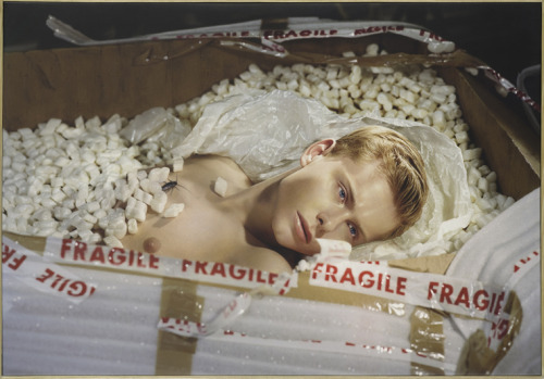lovedlikeahummingbird:  So unrealistic looking it’s creepy, but I love this picture!