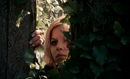 crumbargento: Le Frisson des Vampires - Jean Rollin - 1971 - France