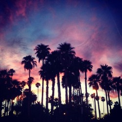slickcitysworld:  Good Ol Arizona Sunsets #amazing #dope #sunset #colors #palmtrees #bombbitches #slickcity #kizumbot.com