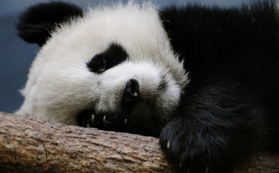 Is It Just Me Or Has Today Been Exhausting…. - http://goo.gl/RWc9Bo