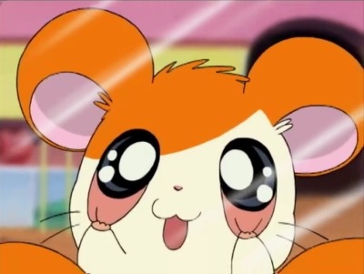 hamster anime | Tumblr