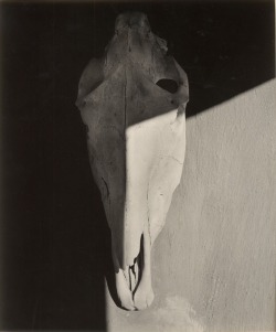 regardintemporel:  W. Eugene Smith - Skull, New Mexico, 1947 