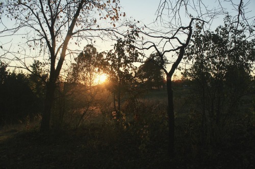 englishsnow:  by girlbands 
