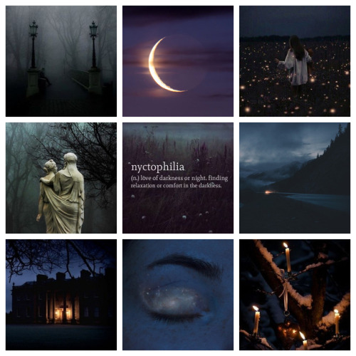 Nyctophilia[nĭk′tə-fĭl′ē-ə]n.A preference for the night or darkness