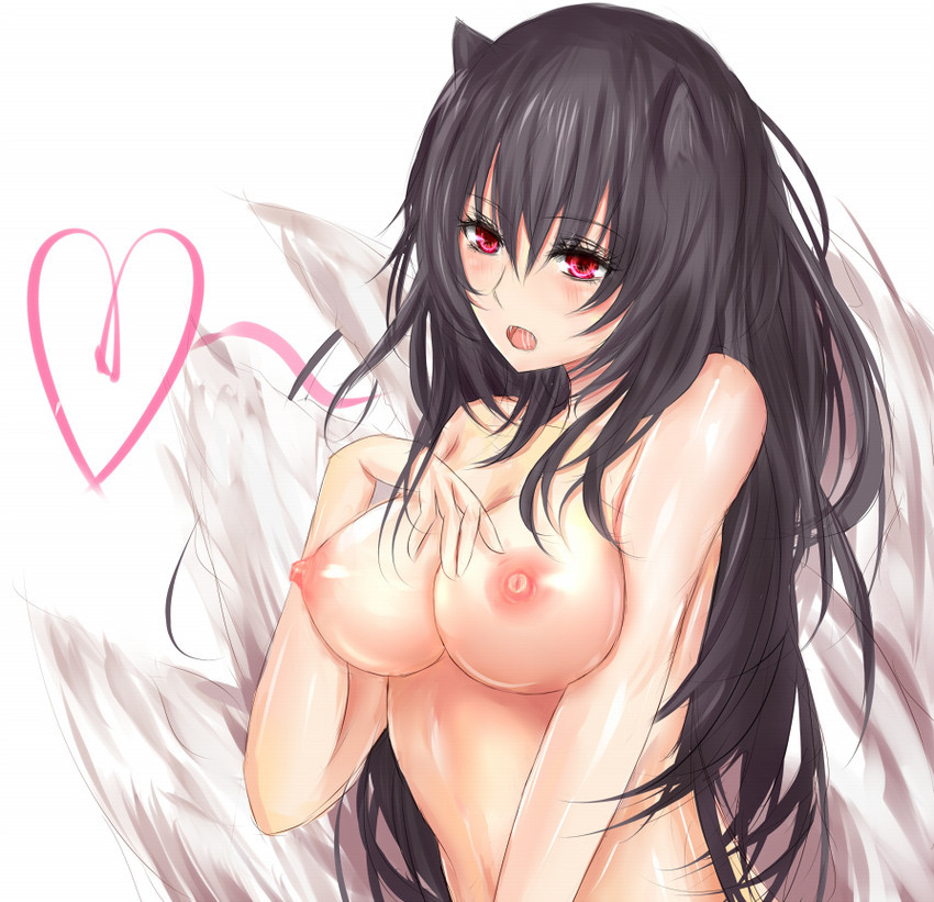 Sexy catgirls and stuff