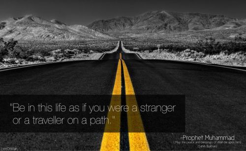 A Stranger (Prophet Muhammad ﷺ Quote)““Be in this life as if you were a stranger or a traveler on a path.”
—Prophet Muhammad
(May the peace and blessings of Allah be upon him)
[Sahih Bukhari]
”
www.IslamicArtDB.com » Hadith » Sahih...