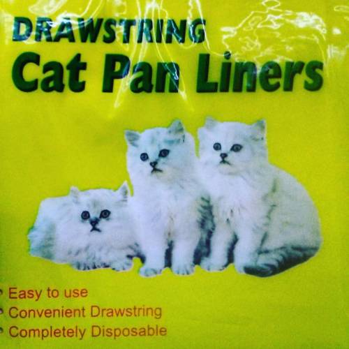 &ldquo;Drawstring&rdquo; by The Cat Pan Liners was one of the seminal singles of the early 80&rsquo;
