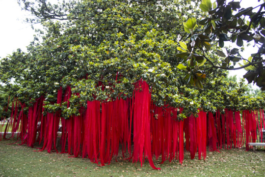 Image: A photo showing 872 red strips of fabric hanging from a magnolia tree. Each strip of fabric is the shape of an inverted obelisk.