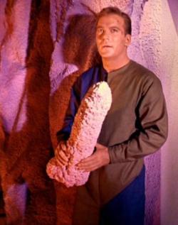 retrogasm:  Captain Kirk and his big rock…  Lol