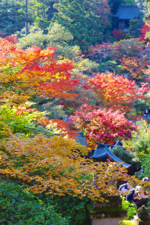 Autumn in Natadera templeJapanese taste for the simple and quiet grace with age BI