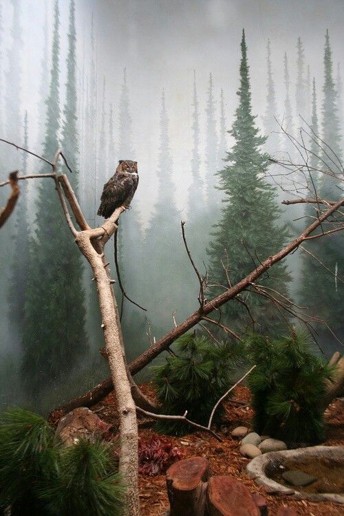 rrobert8:Beautiful 