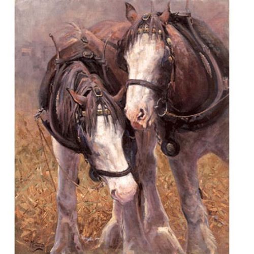 scarlettjane22:  Malcom Coward Horse Prints | The Horse Whisperer (Draft Horse)  Dark Horse Tack