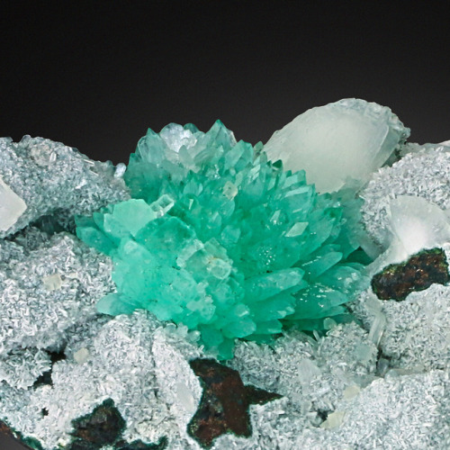 hematitehearts:  Apophyllite with StilbiteLocality: Jalgoan Quarries, Maharashtra, India