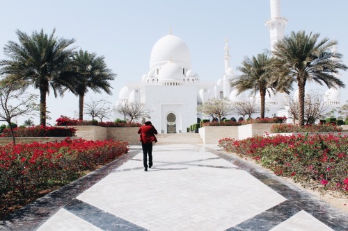 farrukhershad:Sheikh Zayed Mosque. Abu Dhabi. 