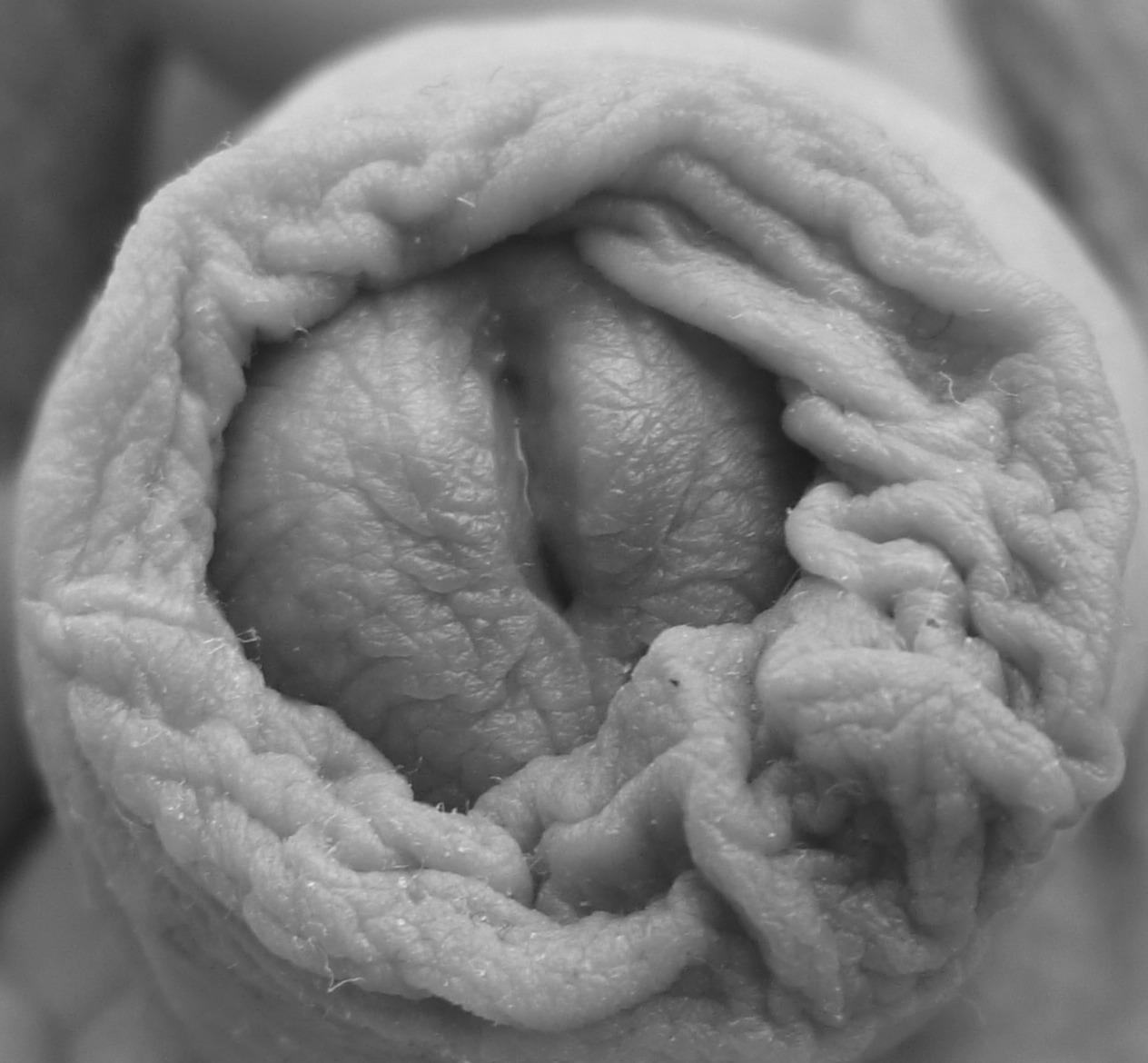 dadaray67:  B&amp;W square (#29)  inicccolas:  for Anaïsnone !  What the fuck