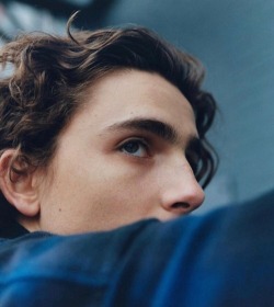 16—saltines:  Thimothee Chalamet by