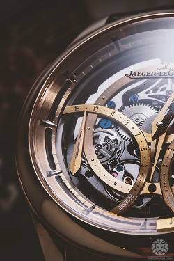 watchanish:  Complicated.