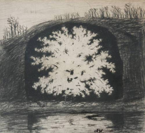 1910-again:  Carl Fredrik Hill (1849-1911), Flowering Fruit Trees in a Cave n.d.