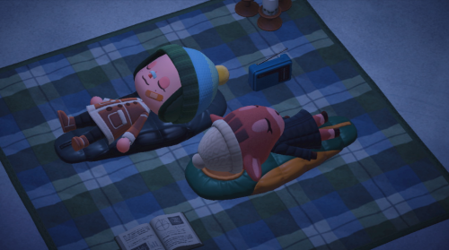 freshly-delivered-clown:winter picnic under the stars. we fell asleep while stargazing!