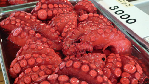 pools of brown and sea of red