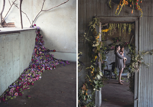 linenandwool:(via lisa waud infills abandoned detroit house with thousands of flowers)