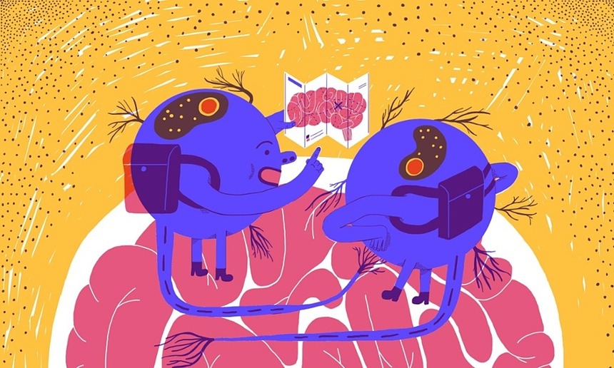 neuromorphogenesis:    What happens in your brain when you make a memory?   We all
