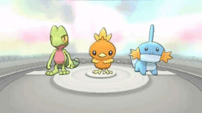 thebuttkingpost:  mystical-draw:  say what starter you pick 1 for each region   SquirtleCintaquilTorchickChimcharSnivyFinnekin   CharmanderChikorita MudkipChimcharSnivyChespin