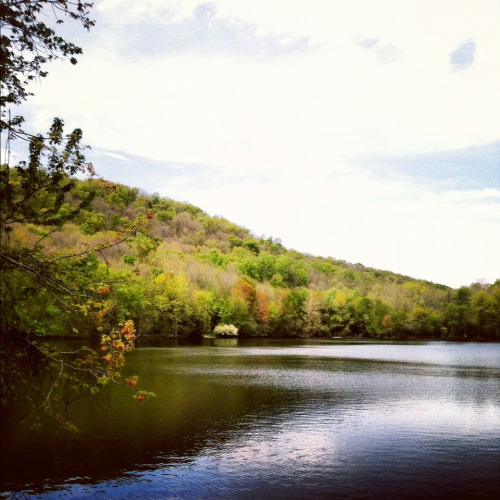 Ramapo Valley ReservationApril 2012-NJ