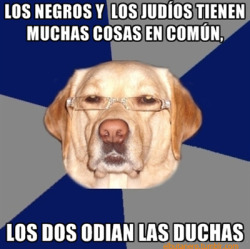 Perro Racista ataca de nuevo.