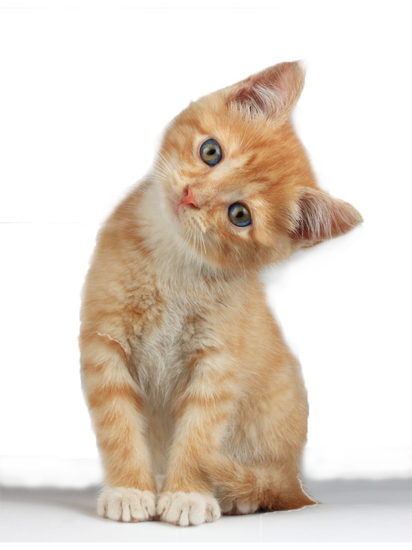 beautflstranger:  I’m not even going to say it. To say, what?? I’m not going