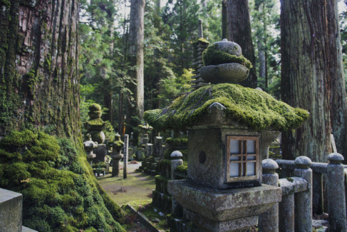 おはよう日本！~Koyasan~ | pt. 2