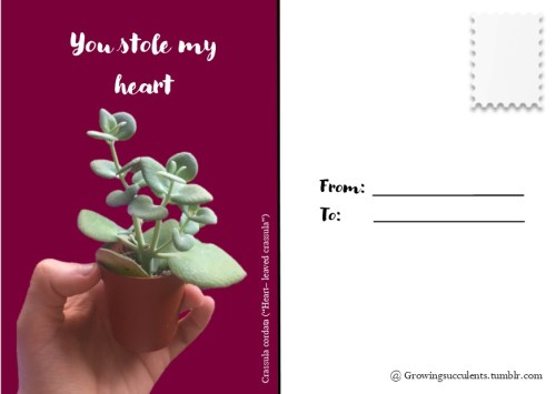 growingsucculents: growingsucculents: growingsucculents:i made some cute Valentines day cards! Feel 