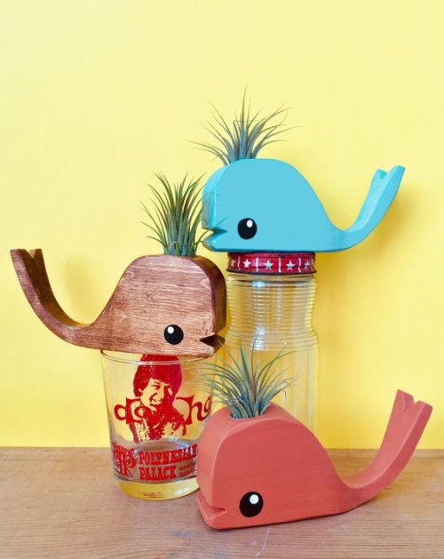 Wooden Whale With Airplant //MichelleBrusegaard