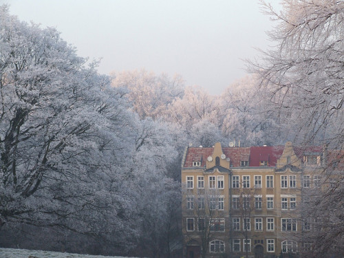 cuprikorn:Poland - a frosty December afternoon in Szczecin by Agnieszka Piatkowska on Flickr.